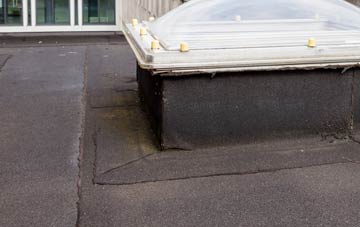 disadvantages of Ythanbank flat roofs