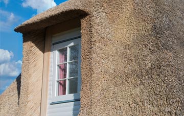 Ythanbank thatch roof disadvantages